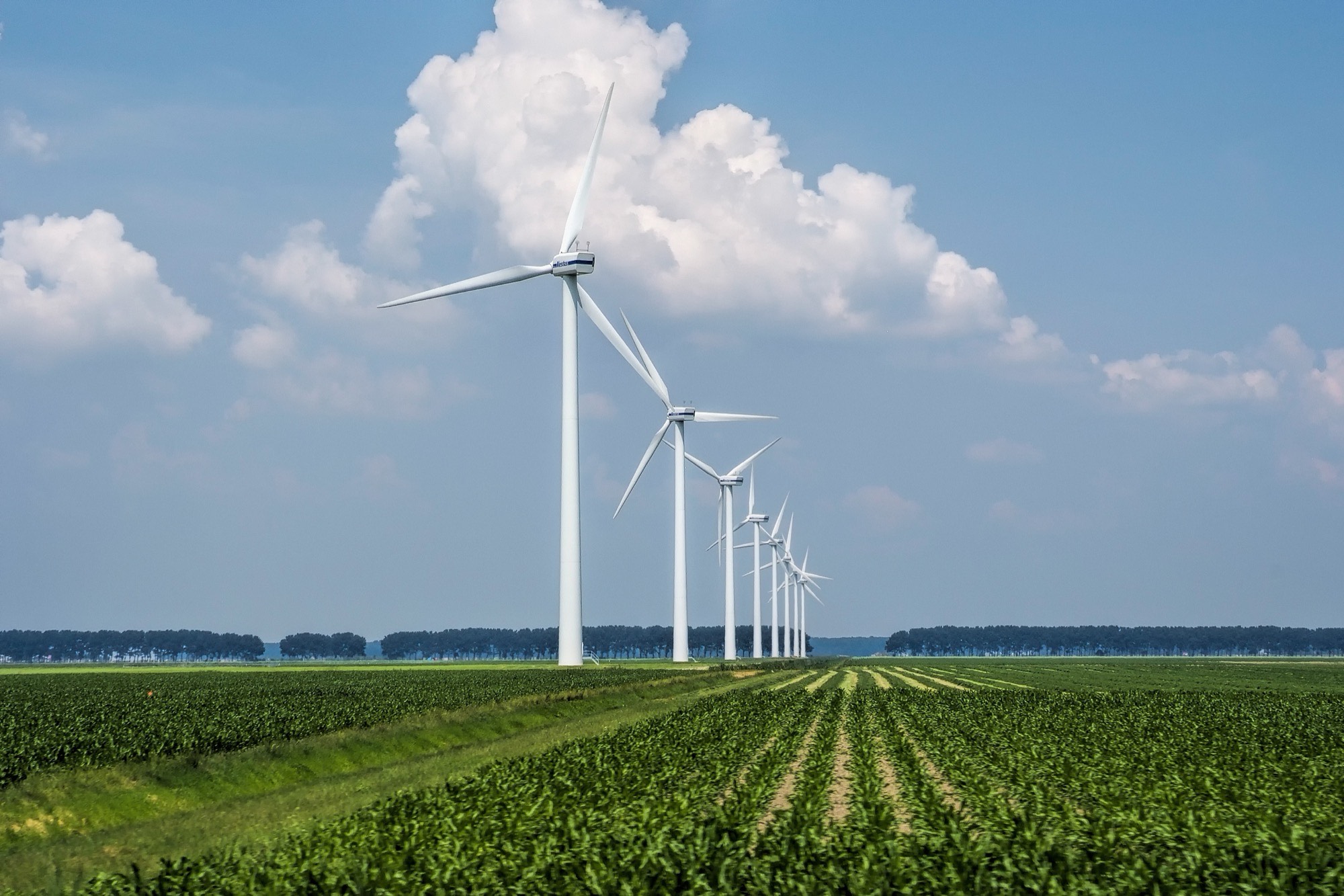 Row of wind turbines across a green field